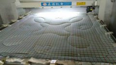 江西赣州选择了鼎诺被子加工设备